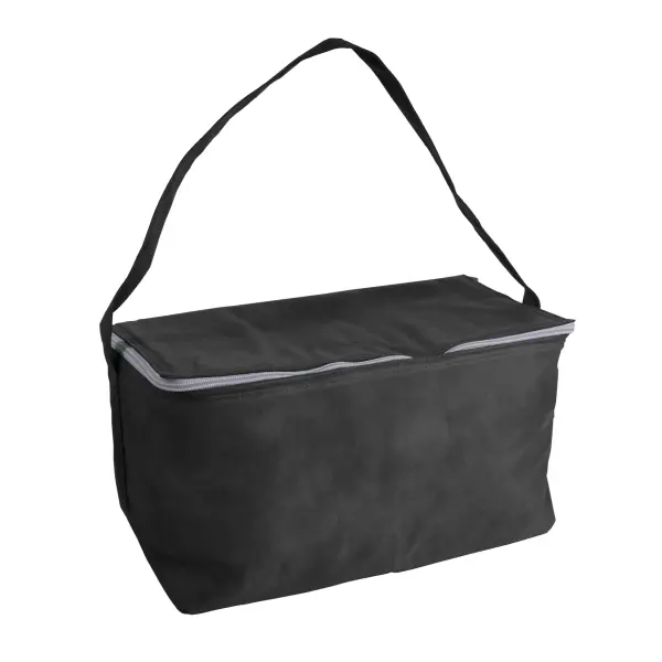 Borsa frigo in TNT 32x18x18 - Immagine 14