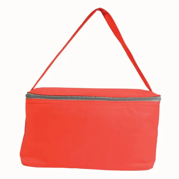 Borsa frigo in TNT 32x18x18 - Immagine 13