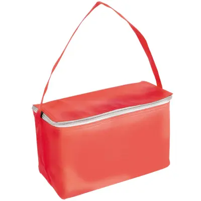 Borsa frigo in TNT 32x18x18 - Immagine 12