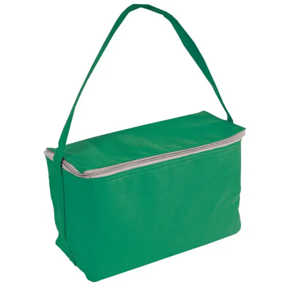 Borsa frigo in TNT 32x18x18 - Immagine 10