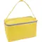 Borsa frigo in TNT 32x18x18 - Anteprima 6