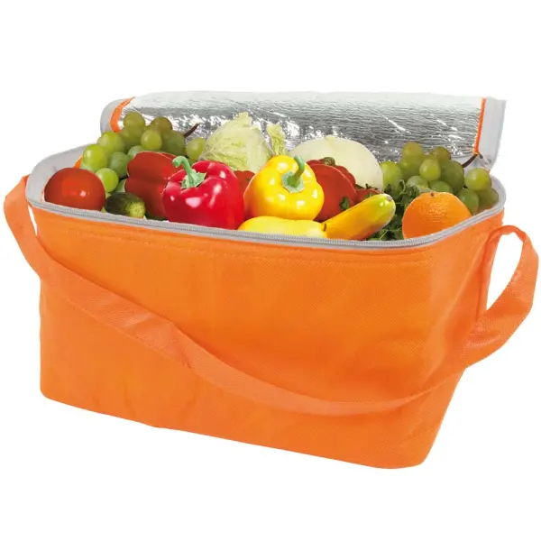 Borsa frigo in TNT 32x18x18 - Immagine 5