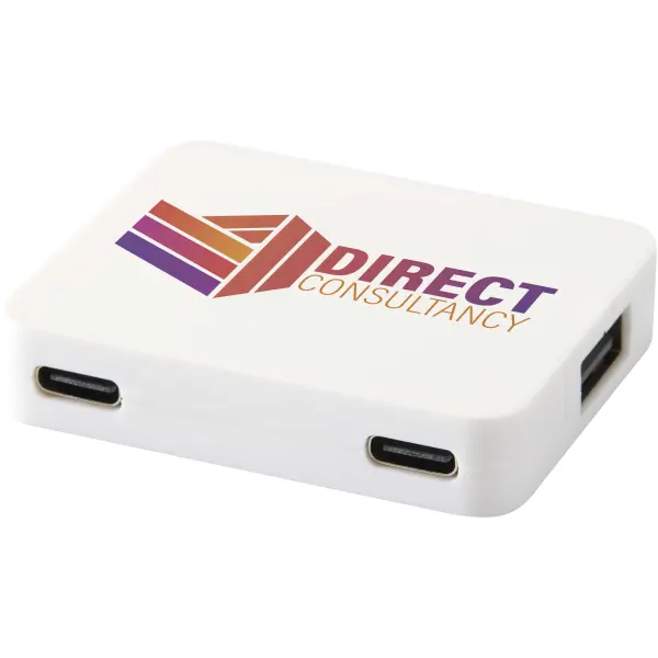 Hub USB a 4 porte e doppio ingresso Gaia - Immagine 5