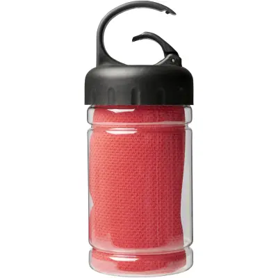 Asciugamano in contenitore PET Remy - Immagine 11