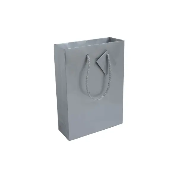 Sacchetto Carta 18x7x25 CESARINA - Immagine 3