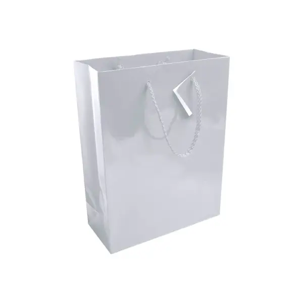 Sacchetto Carta 22x10x29 CARMELA - Immagine 7