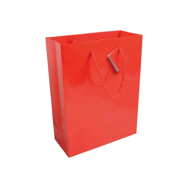 Sacchetto Carta 22x10x29 CARMELA - Immagine 5