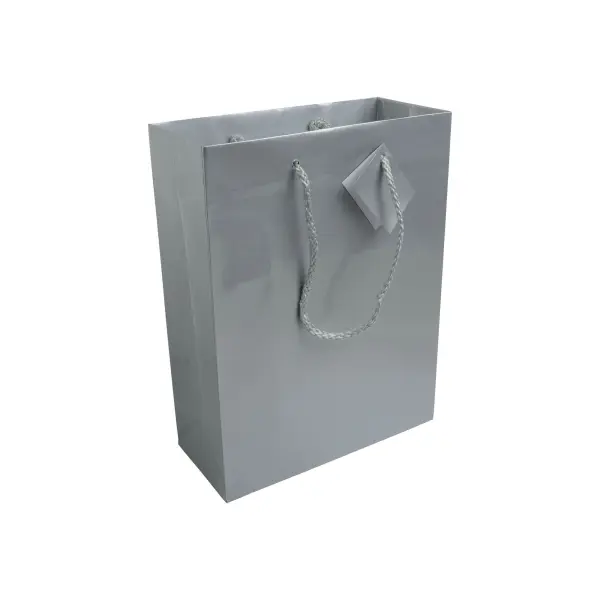 Sacchetto Carta 22x10x29 CARMELA - Immagine 3