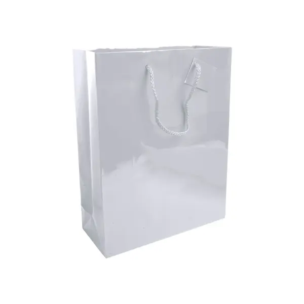Sacchetto Carta 26x11x35 CAROLINA - Immagine 7