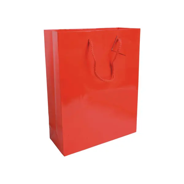 Sacchetto Carta 26x11x35 CAROLINA - Immagine 5