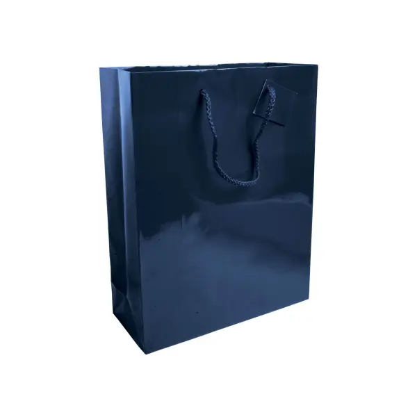Sacchetto Carta 26x11x35 CAROLINA - Immagine 4