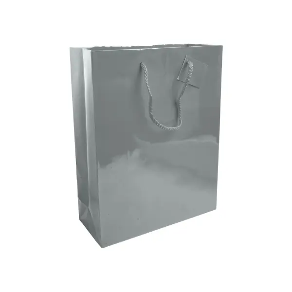 Sacchetto Carta 26x11x35 CAROLINA - Immagine 3