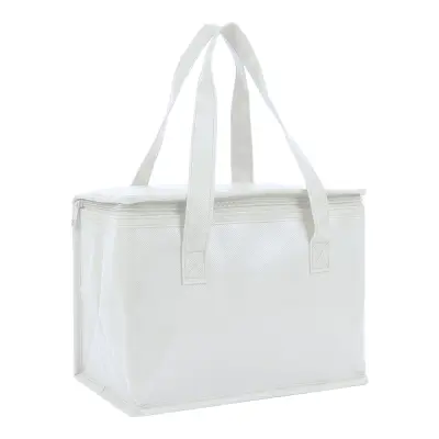 Borsa termica in TNT interno laminato 26x18x16 - Immagine 20