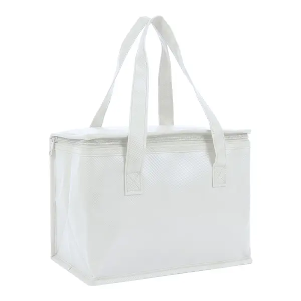 Borsa termica in TNT interno laminato 26x18x16 - Immagine 20