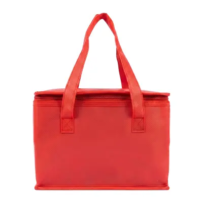 Borsa termica in TNT interno laminato 26x18x16 - Immagine 18