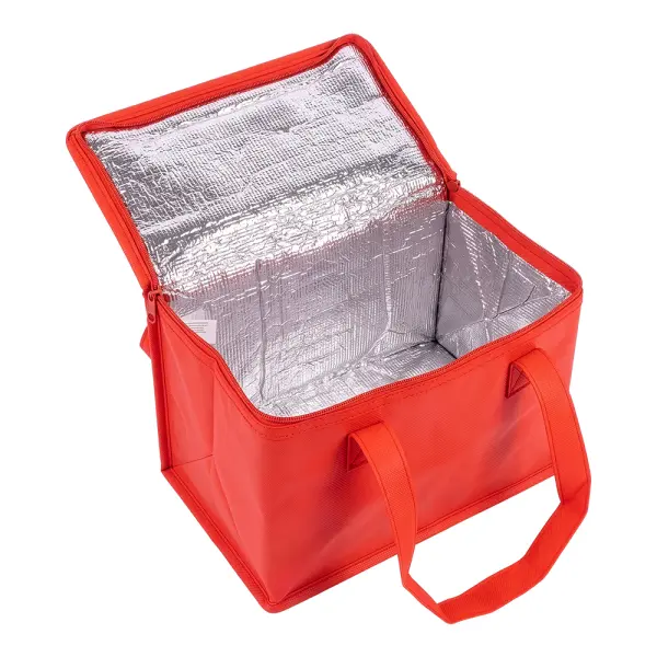 Borsa termica in TNT interno laminato 26x18x16 - Immagine 19