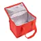 Borsa termica in TNT interno laminato 26x18x16 - Anteprima 19