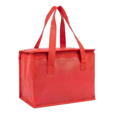 Borsa termica in TNT interno laminato 26x18x16 - Immagine 17