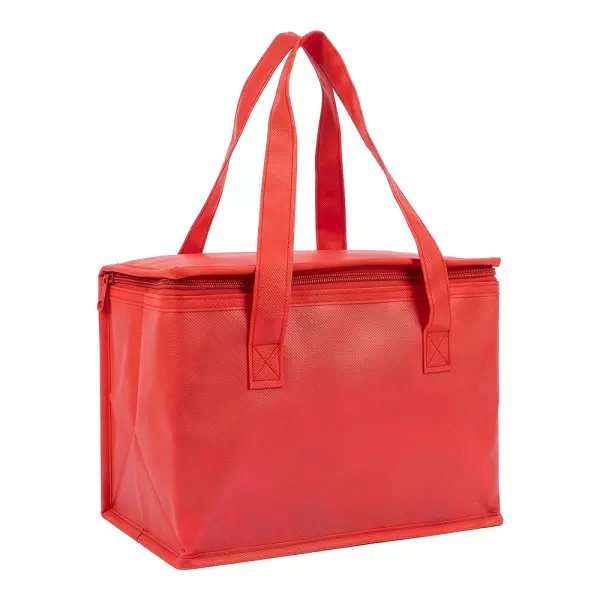 Borsa termica in TNT interno laminato 26x18x16 - Immagine 17