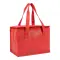 Borsa termica in TNT interno laminato 26x18x16 - Anteprima 17