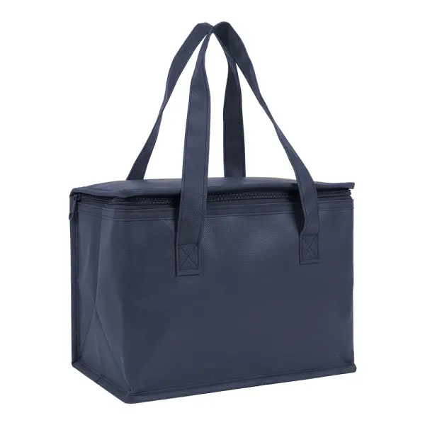 Borsa termica in TNT interno laminato 26x18x16 - Immagine 14