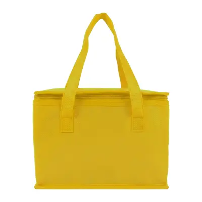 Borsa termica in TNT interno laminato 26x18x16 - Immagine 12