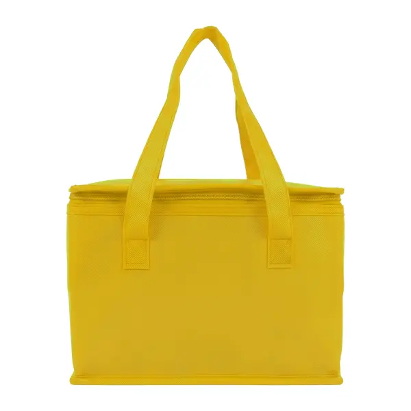 Borsa termica in TNT interno laminato 26x18x16 - Immagine 12