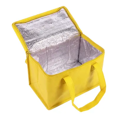 Borsa termica in TNT interno laminato 26x18x16 - Immagine 13