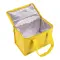 Borsa termica in TNT interno laminato 26x18x16 - Anteprima 13
