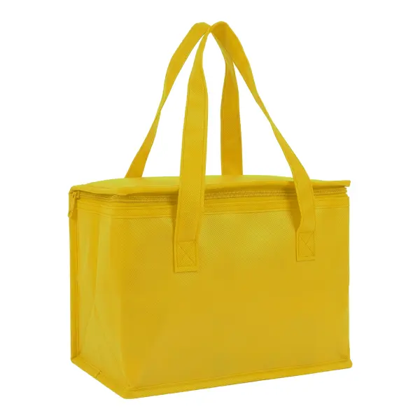 Borsa termica in TNT interno laminato 26x18x16 - Immagine 11