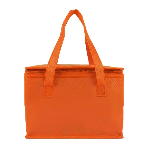 Borsa termica in TNT interno laminato 26x18x16 - Immagine 9