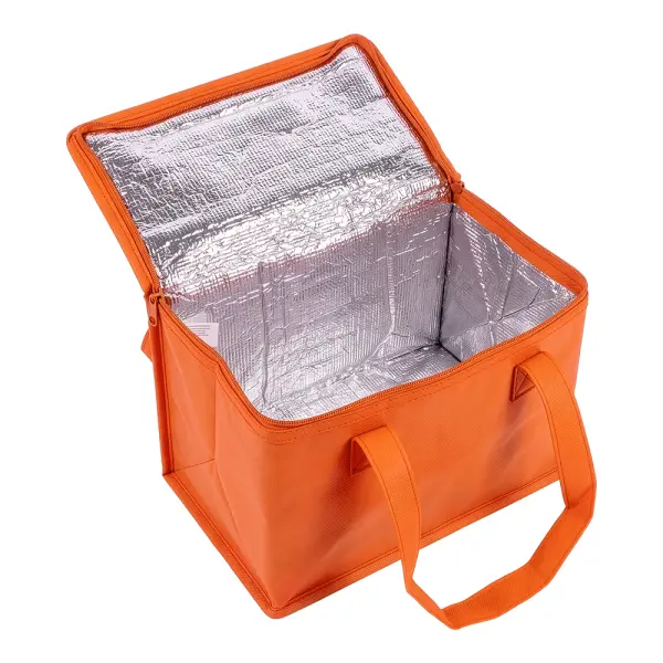 Borsa termica in TNT interno laminato 26x18x16 - Immagine 10