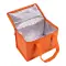 Borsa termica in TNT interno laminato 26x18x16 - Anteprima 10