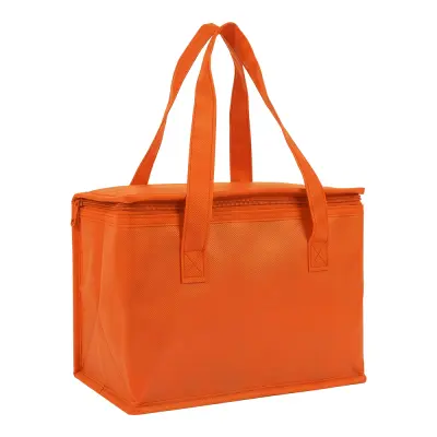 Borsa termica in TNT interno laminato 26x18x16 - Immagine 8