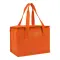 Borsa termica in TNT interno laminato 26x18x16 - Anteprima 8