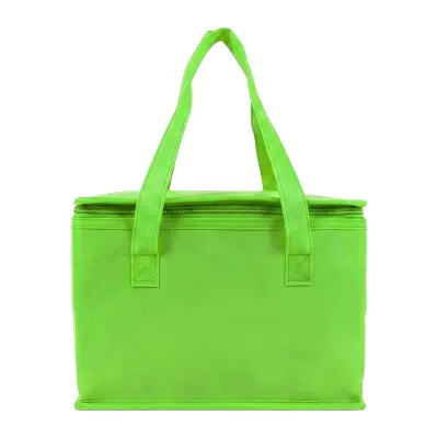 Borsa termica in TNT interno laminato 26x18x16 - Immagine 3
