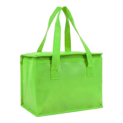 Borsa termica in TNT interno laminato 26x18x16 - Immagine 2
