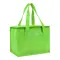 Borsa termica in TNT interno laminato 26x18x16 - Anteprima 2