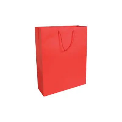Sacchetto Carta 18x7x25 CESIRA - Immagine 3