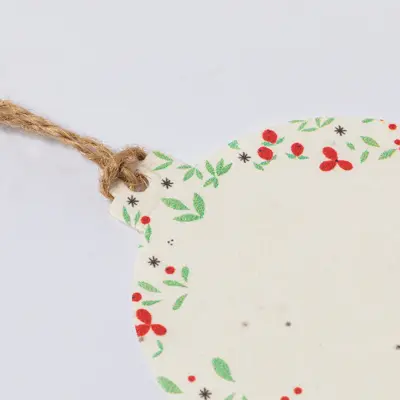 Decorazione natalizia di semi BOSTER con stampa del tuo logo - Immagine 2