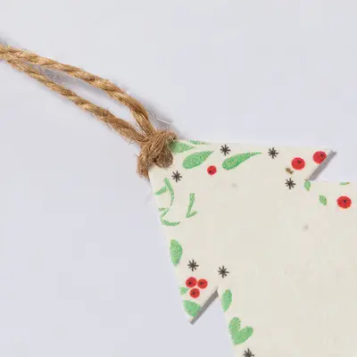 Decorazione natalizia di semi BOSTER con stampa del tuo logo - Immagine 8