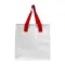 Borsa frigo in PP laminato 120gr chiusura a zip - Anteprima 14