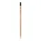 Matita sprout in legno con seme - Anteprima 20