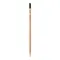Matita sprout in legno con seme - Anteprima 3