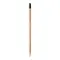 Matita sprout in legno con seme - Anteprima 21
