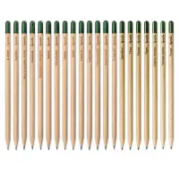 Matita sprout in legno con seme