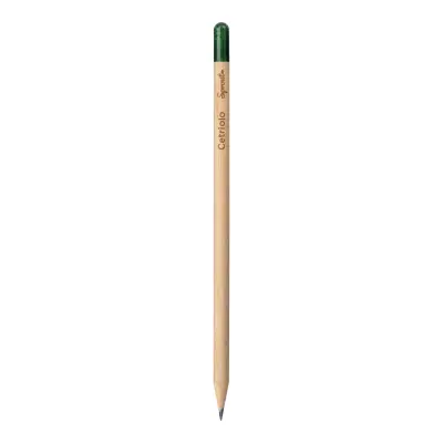 Matita sprout in legno con seme - Immagine 22