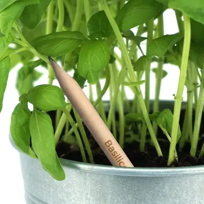 Matita sprout in legno con seme - Immagine 27