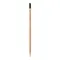 Matita sprout in legno con seme - Anteprima 10
