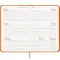 Agenda tascabile settimanale copertina cartoncino laminato - Anteprima 5